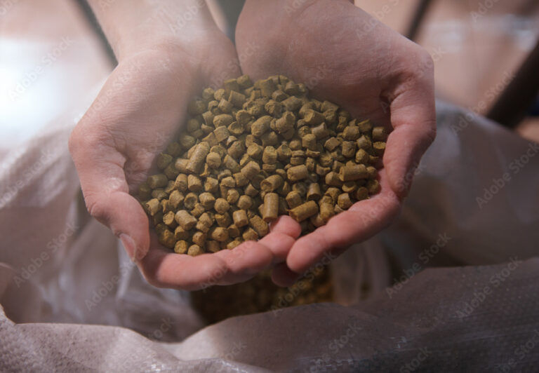 Gros plan sur des mains recueillant des granulés , un exemple de coproduit issu du brassage.